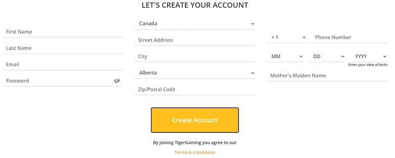 Registrace na stránkách kasina a ověření účtu v Tiger Gaming Casino