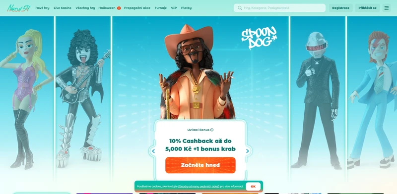 Přehled webové stránky Neon54