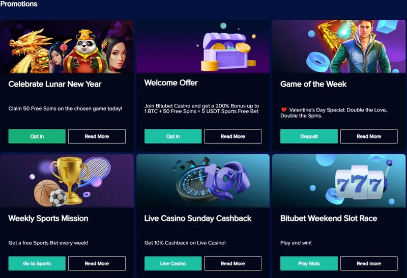 Bitubet Online Casino - Bonuses